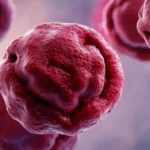 Coaguli di Sangue durante il Ciclo